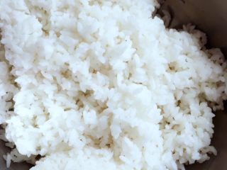 紫菜包饭,米饭，可以选择剩米饭，如果想特意吃紫菜包饭也可以新蒸，但是必须放凉