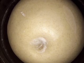 香栗&南瓜夹心黑麦软欧包,判断是否发酵到位可以用中指沾粉戳一下面团，不回弹不塌陷就发好了。