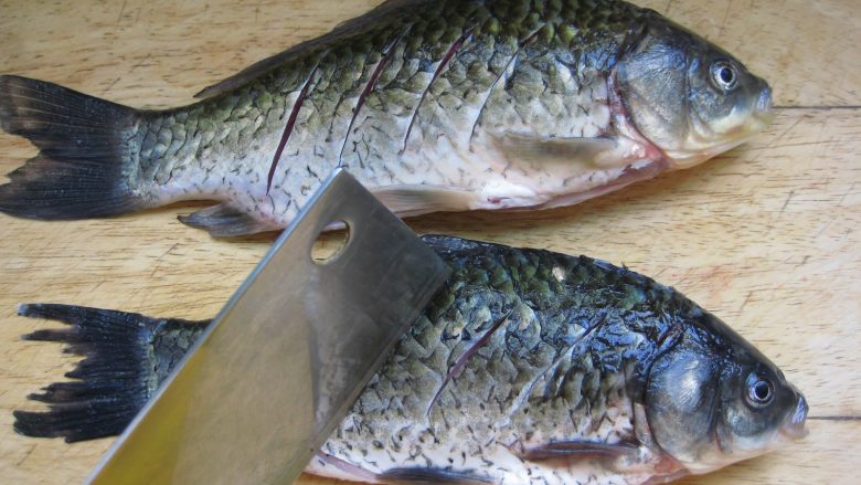 川香豆瓣鱼 ：超级美味的下饭神器,.鲫鱼收拾干净在表面划几刀。