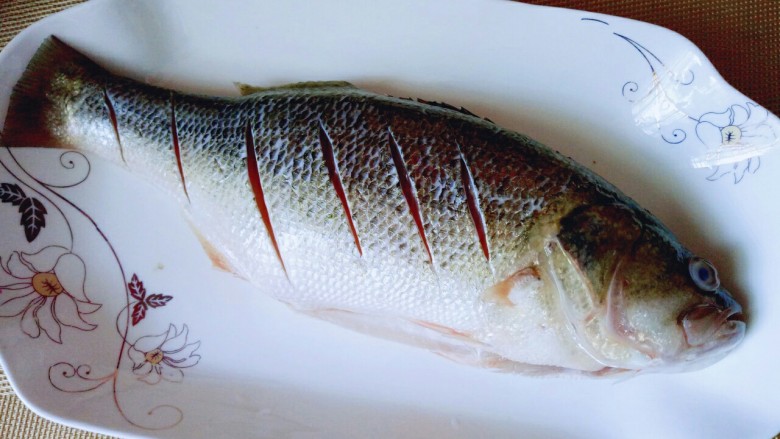 红烧鲈鱼,将鲈鱼身体上用刀划几道，洗干净放入鱼盘中。