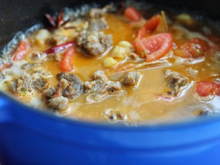 西红柿炖牛肉,添入足够量的热水盖上锅盖，中小火炖煮一小时以上