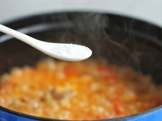 西红柿炖牛肉,调入适量盐