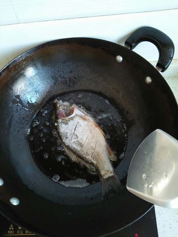 西红柿炖鲫鱼,锅热油，把鱼放进去煎两面金黄。煎好盛出来。