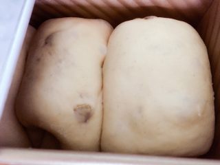 天然酵母葡萄干吐司,面团发到吐司盒8分满时盖上盖子，此时烤箱预热180度10min