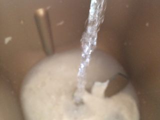 天然酵母欧包,，加入水浸泡2、3分钟。