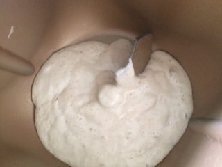 天然酵母欧包,开始制作面包了，称122克酵母液放在面包机里。