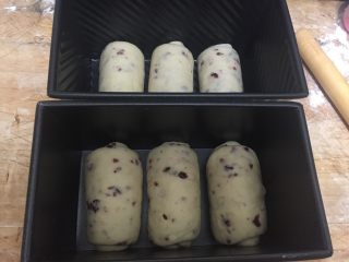炼奶蔓越莓吐司 中种法,将吐司盒放入烤箱中（不插电），放一盆热水闷着