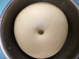 米香奶酪山形吐司（冷藏发酵法）,手指沾粉戳一下面团，微微回弹，这状态说明一发到位了。