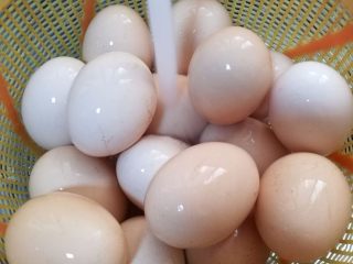 卤蛋,将生鸡蛋用流水洗干净