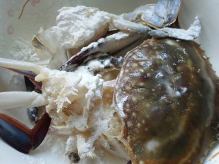 梭子蟹炒年糕,把生粉倒在梭子蟹上，均匀的裹在蟹肉上