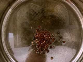红烧大虾,锅底加入大豆色拉油烧热后加入花椒粒煸炒出香味
