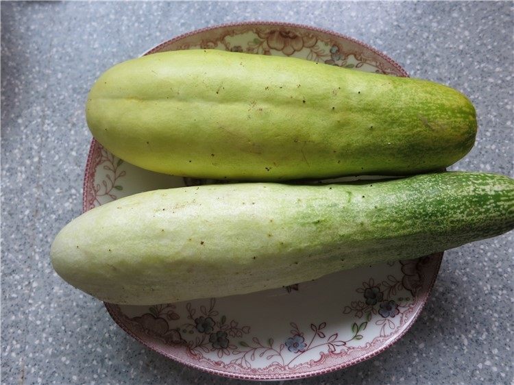 老黄瓜也有春天---黄瓜鸡翅,所用黄瓜是这种地黄瓜，粗壮形的