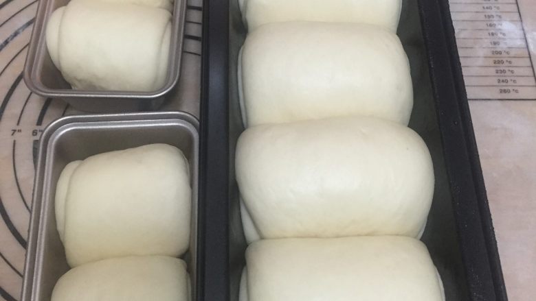 100%中种北海道餐包,发酵好之后，将模具取出
170度预热烤箱