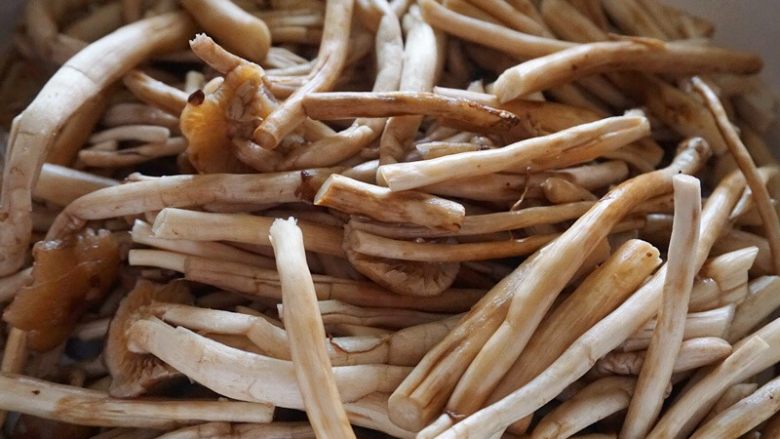 干锅茶树菇,将茶树菇去掉根部清洗干净后从中间切成两段