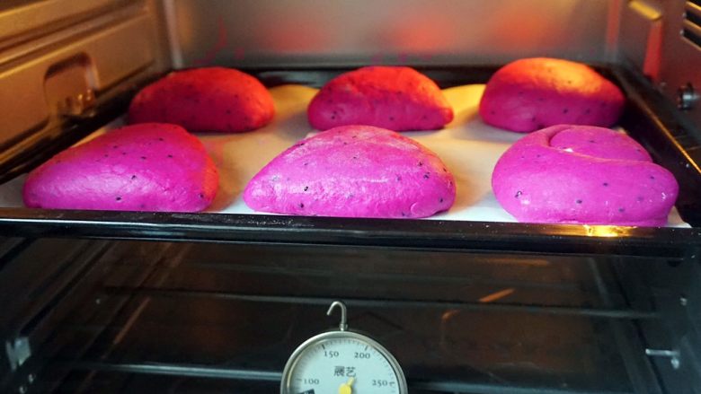 火龙果椰香软欧,开始第二次发酵，40min。
