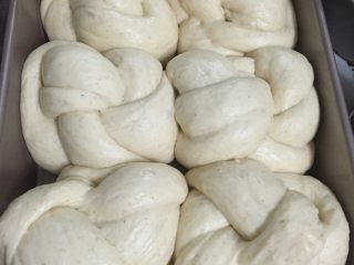 全麦老式面包 中种法,发酵至模具9分满大约1小时后，取出模具和水