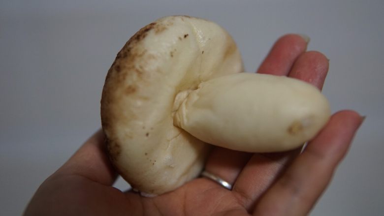 香菇豆沙包,蒸熟的香菇底部用筷子戳一个小洞，把香菇蒂塞进去就可以了