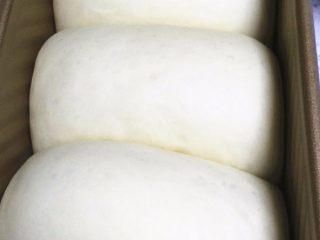 超软酸奶吐司,进行二次发酵，二发的环境要求温度36-38度，温度最高不要超过38度。湿度75%。发酵至8分满后，加盖土司盖