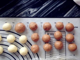 双色水果面包杯,面团发酵好后取出排气，原色小面团和可可小面团，分别是24个，每个11克。各两个20克的面团，滚圆。