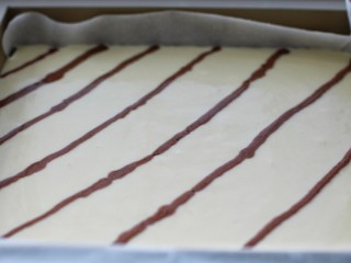 酸奶戚风蛋糕,烤盘铺油纸倒入面糊，如图中用可可面糊划出横线
