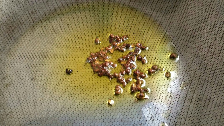 香辣驴肉,另起锅，锅内留底油，放入麻椒粒炒香