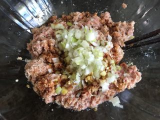 酸青瓜羊肉水饺,肉泥倒入碗中，放进切碎的大葱；