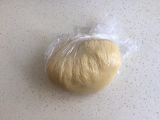 莲蓉蛋黄月饼（50克）,面团包上保鲜膜静置1小时。