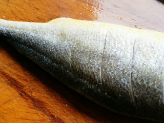 清蒸黄鱼,在鱼的身上两面斜切几刀。