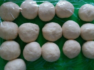 椰蓉面包,均匀的分成16个面团