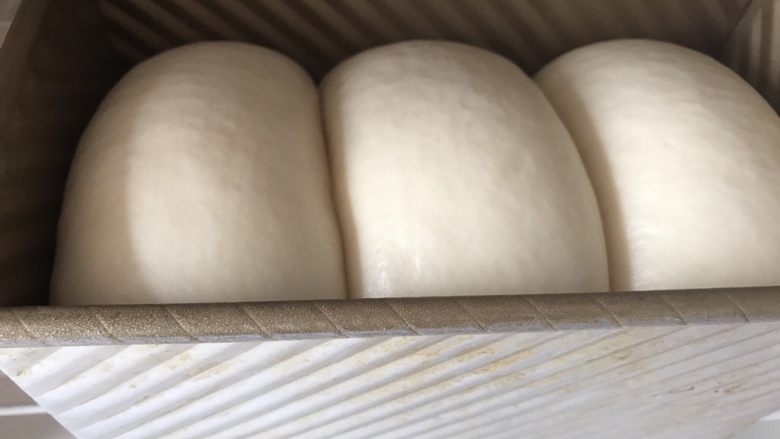 蛋白奶酪吐司,在38度左右的温暖湿润处进行最后发酵。手指按压面团，缓慢回弹，即发酵完成。
发酵好的吐司表面应该是很光滑，略微有点弹性不粘手的。而不是不光滑，很粘手那种。