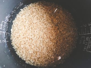 小森林系·温暖醇香的糙米核桃饭,糙米提前用清水浸泡2-8个小时。泡过的糙米营养更容易被吸收，也更易煮熟。

时间充裕的话多泡几个小时，时间比较紧张的话，最少也要泡1-2小时。