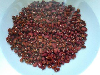 红豆薏米西米露,把赤小豆提前用清水洗净浸泡