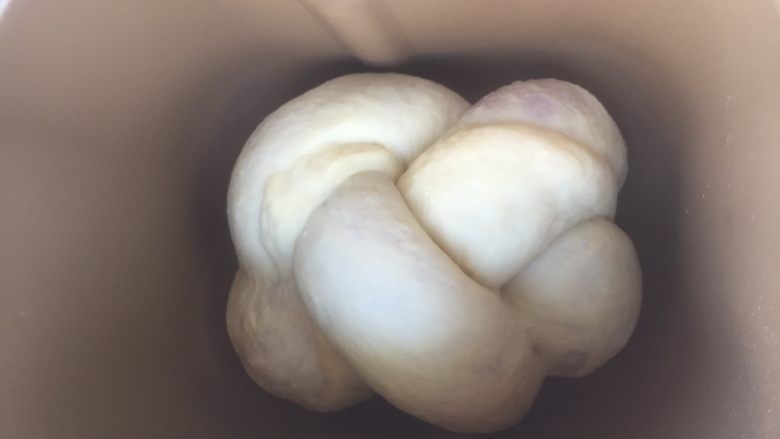面包机版   紫薯双色吐司,三股辫的两头压在面包机的底部。启动面包机的发酵模式，发酵一个小时（夏天自然发酵，发酵至2倍大就可以了），发酵至2倍大。