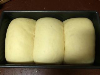 一次发酵吐司面包,发酵到9分满就可以了，盖上磨具盖子，烤箱180度预热3分钟后放入烤箱开启160度，中层烤25分钟，面包烤好后取出倒扣脱模就可以了
