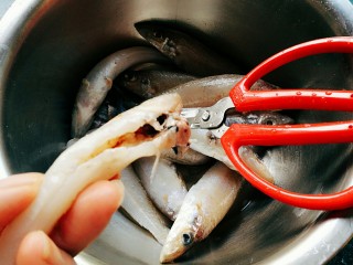 炸沙丁鱼,沙丁鱼去内脏洗净，剪掉鱼头。