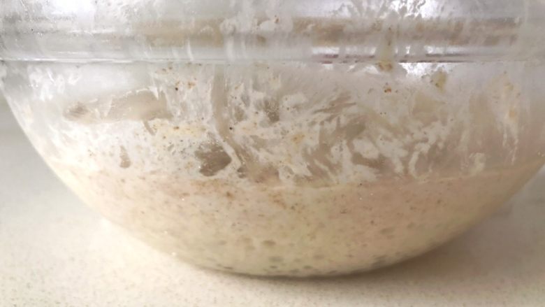 36小時天然酵種黑麥法棍,面團取出時會變成原來的兩倍大，而且可以看到有很多的氣泡，如果沒有膨脹到位，放在室溫下繼續發酵至兩倍大。
