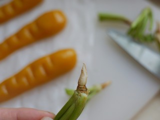 奶香Q弹胡萝卜,从锅里连油纸一起移出来，取之前预留的香菜根，用厨房剪刀剪出尖角