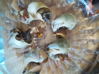 葱爆海螺,去完的海螺肉（这时可以蘸着辣酱，醋，辣根，吃）