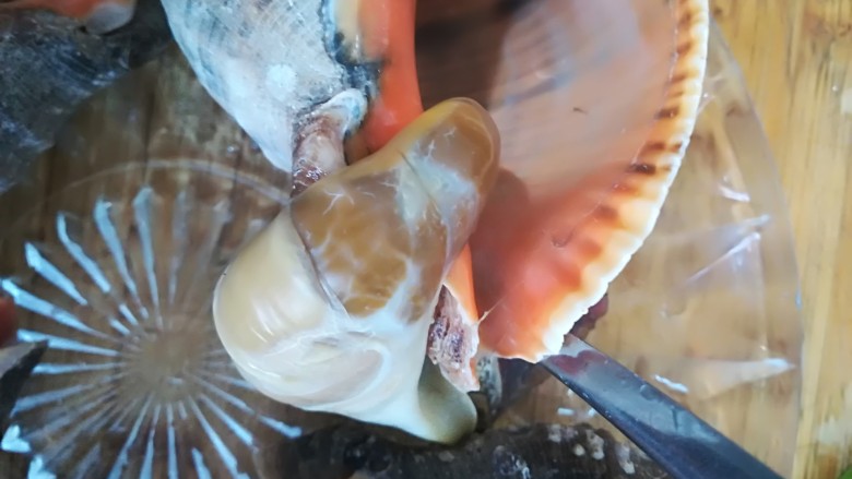 葱爆海螺,用勺把或牙签把海螺肉抠出