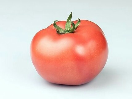西红柿炒茄子,<a style='color:red;display:inline-block;' href='/shicai/ 3554'>彩椒</a>去蒂去籽切成块，放置锅中也干煸一下盛在碗里备用。
