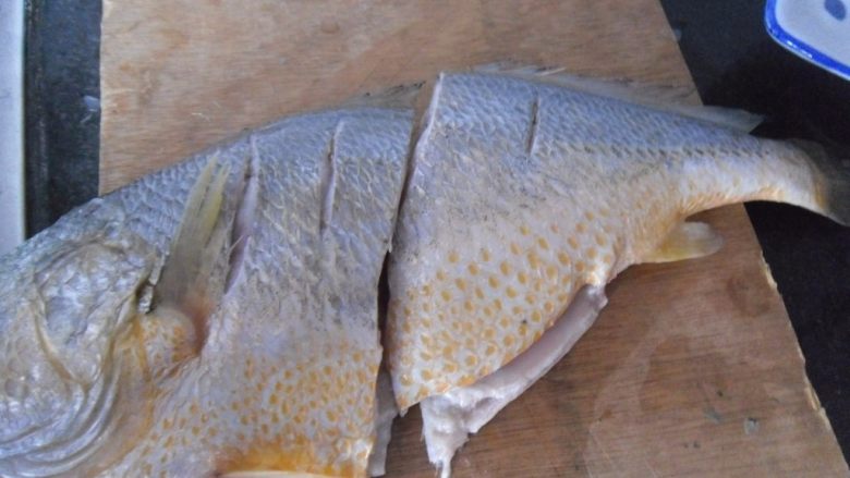 红烧大黄鱼, 靠背部打一字刀，为了方便烧制，将其一切两半。
