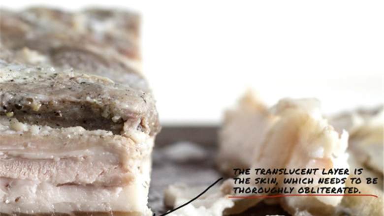 广式烧肉,观察切面，熟悉猪肉的构造。皮是非常明显的透明色，肉的部分明显颜色深一些，再是白色不透明的脂肪层。