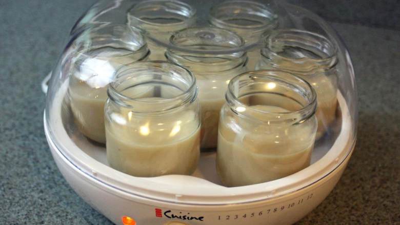 素食燕麦酸奶,放置一边冷却到40度，大约需要1小时。如果牛奶太烫，那么倒进去的酸奶酵母就会被烫死，没法做酸奶了。