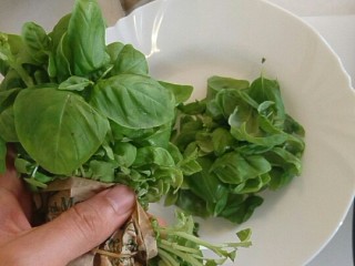 意大利绿酱面,摘下罗勒的嫩叶，因为是叶子，看着多，实际很轻，需要很多很多。