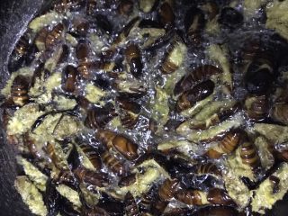 开边蚕蛹,锅里倒入适量得油，油开后把拌好淀粉得蚕蛹一起倒入油里炸