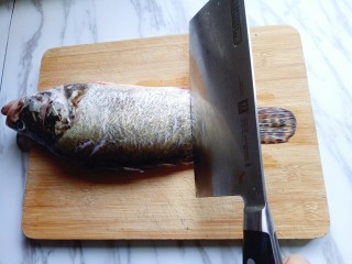 #味道鲜美的#清蒸桂鱼,将擦干水份的桂鱼放在砧板上，用刀再鱼背上划几刀。