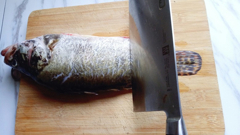 #味道鲜美的#清蒸桂鱼,将擦干水份的桂鱼放在砧板上，用刀再鱼背上划几刀。