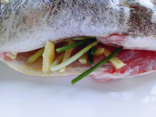 #味道鲜美的#清蒸桂鱼,将葱段，姜丝放进鱼的肚子里。