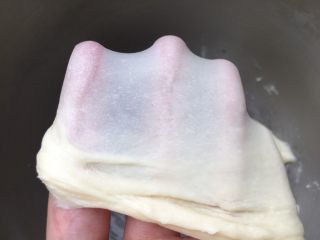 酸奶小吐司（老面法）,尽可能做到手套膜