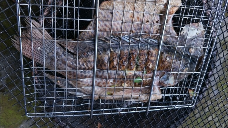 私房烤罗非鱼,烤熟的鱼是焦香的，铺在蔬菜上面